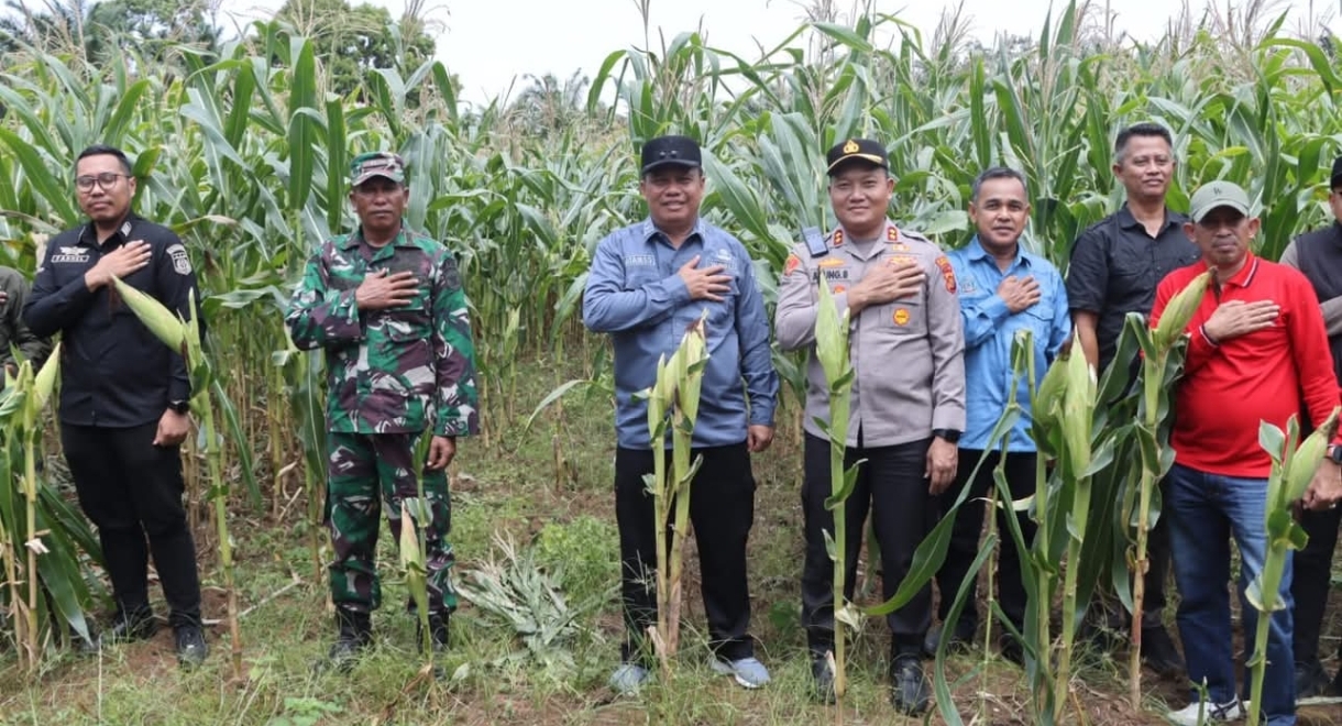 Image source: Unsplash