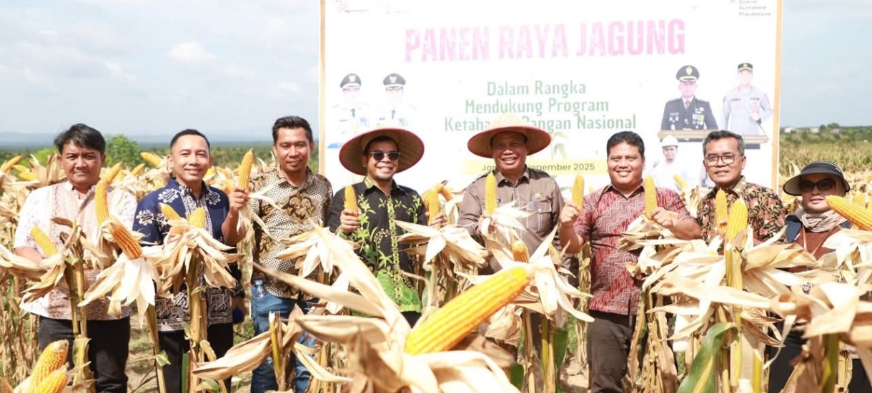 Wabup Katamso Tegaskan Komitmen Pemerintah Daerah Perkuat Swasembada Pangan Melalui Panen Jagung di Tebing Tinggi